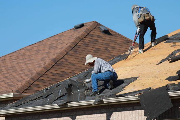 Best Roof Leak Repair  in Harrisburg, IL